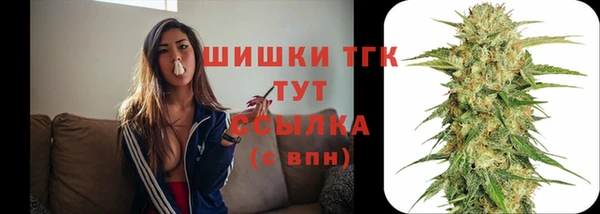 молекула духа Богородицк