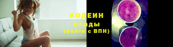 молекула духа Богородицк
