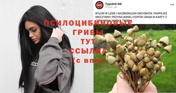 прущая мука Богданович