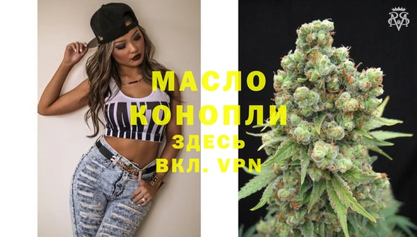 молекула духа Богородицк