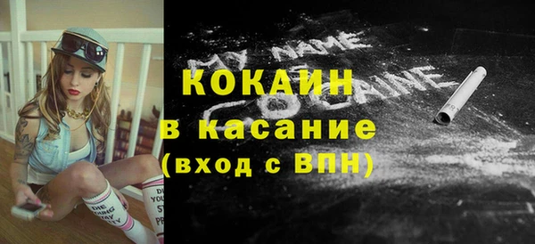 молекула духа Богородицк