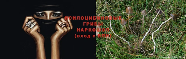прущая мука Богданович