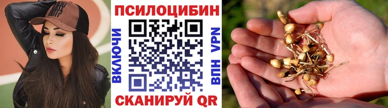 Псилоцибиновые грибы ЛСД  Купить закладки  Городовиковск 